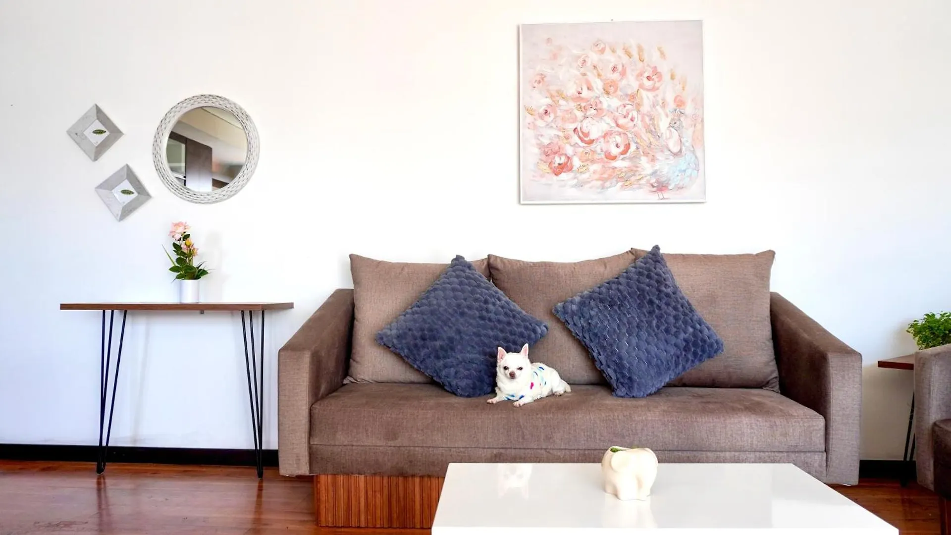 Botanic Apartment- Cozy & Comfy in Cuenca Apartamento