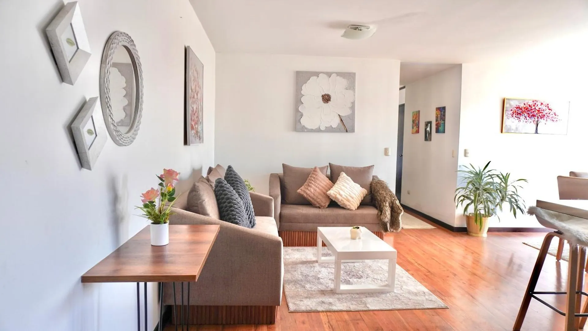 Botanic Apartment- Cozy & Comfy in Cuenca